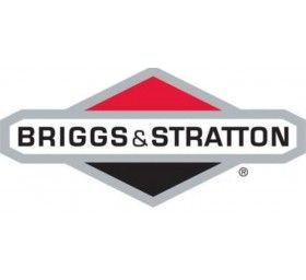 Briggs & Stratton